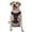 With Accessories, variant on Vsdgher Chemistry Science Pattern Dog Harness,No Pull Pet Harness with Soft Padded Handle,Adjustable Reflective Vest with 2 Buckles,4 Slide Buckles,S-XL Medium