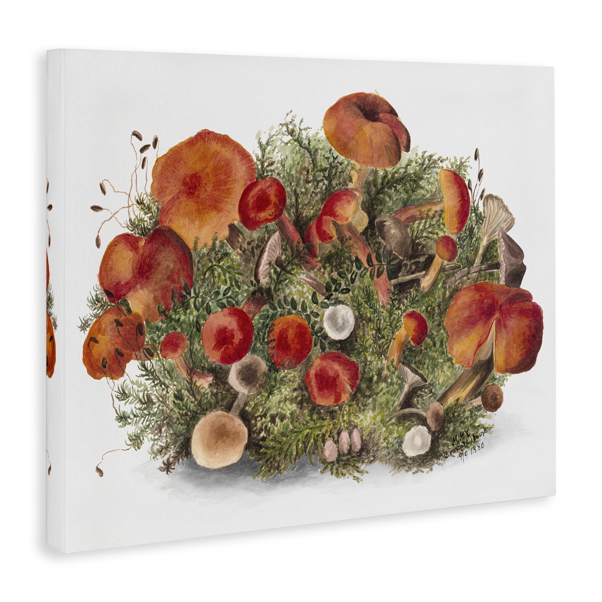 Stupell Industries Rustic Cottage Mushrooms Botanical & Floral Painting Gallery Wrapped Canvas Art Print Wall Art, 30 x 24