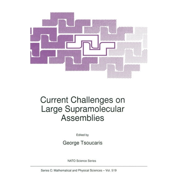 NATO Asi Series. Series C, Mathematical Current Challenges on Large Supramolecular Assemblies, Book 519, (Hardcover)