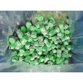 thumbnail image 1 of 24/12Pcs Tennis Racket Grips Overgrip Sweat Band Badminton Tennis Racket Non-Slip Hand Glue PU Sweatband Absorption 24PCS-Green, 1 of 6
