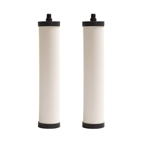 Doulton M15 UltraCarb Ceramic Drinking Water Filter Candle for Franke 02, Franke Triflow, Filterflow, All 1st Gen Steel and 2nd Gen Plastic Housings FRX01 10 inch M15 Thread W9223021 (2 Pack)