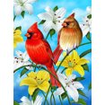thumbnail image 1 of Parrot Animal Rhinestone Kit 5D Full Square Round Diamond Embroidery Bird Mosaic Flower Handmade Gift, 30*40cm, Frame not included.,5833, 1 of 5