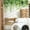 2#, variant on 1 Packs Wall Stickers Adhesive Paper Green Plants Pattern Home Decor Mural for Bedroom Living Room Wall Decoration Removable Peel and Stick Wall Art