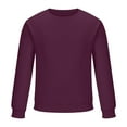 thumbnail image 5 of Wyobmus Mens Plus Size Sweatshirt Regular Fit Crewneck Sweatshirt Lightweight Soft Basic Pullover Sweatshirt XXS-XL Burgundy, 5 of 7