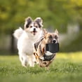 thumbnail image 4 of Interactive Dog Tug Toy for Training and Play with Pillow Design for Small Medium Breed, 4 of 4