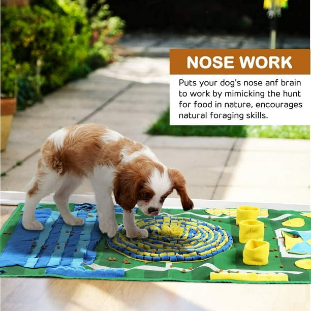 Dog nose work mat deals