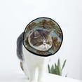 thumbnail image 1 of Thailand Countryside Soft Cat Dog Recovery Collar Adjustable Cat Cone Wound Healing Protective After Surgery for Cats, 1 of 7