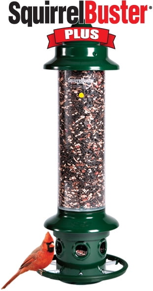 Brome Squirrel Buster Plus Cardinal Perch Ring Birdfeeder 1024 SQUIRREL PROOF by Brome Squirrel Buster