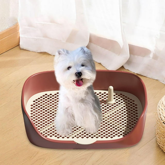 Toilette pour Chien Intérieur Extérieur Bassin d'Entraînement Support de Tapis Bac à Litière Rouge P