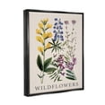 thumbnail image 4 of Stupell Industries Wildflower Species Study Botanical & Floral Painting Black Floater Framed Canvas Art Print Wall Art, 17 x 21, 4 of 10