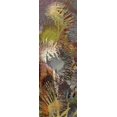 thumbnail image 2 of Burghardt, James 13x32 Gold Ornate Wood Framed with Double Matting Museum Art Print Titled - Thistle Panel I, 2 of 4
