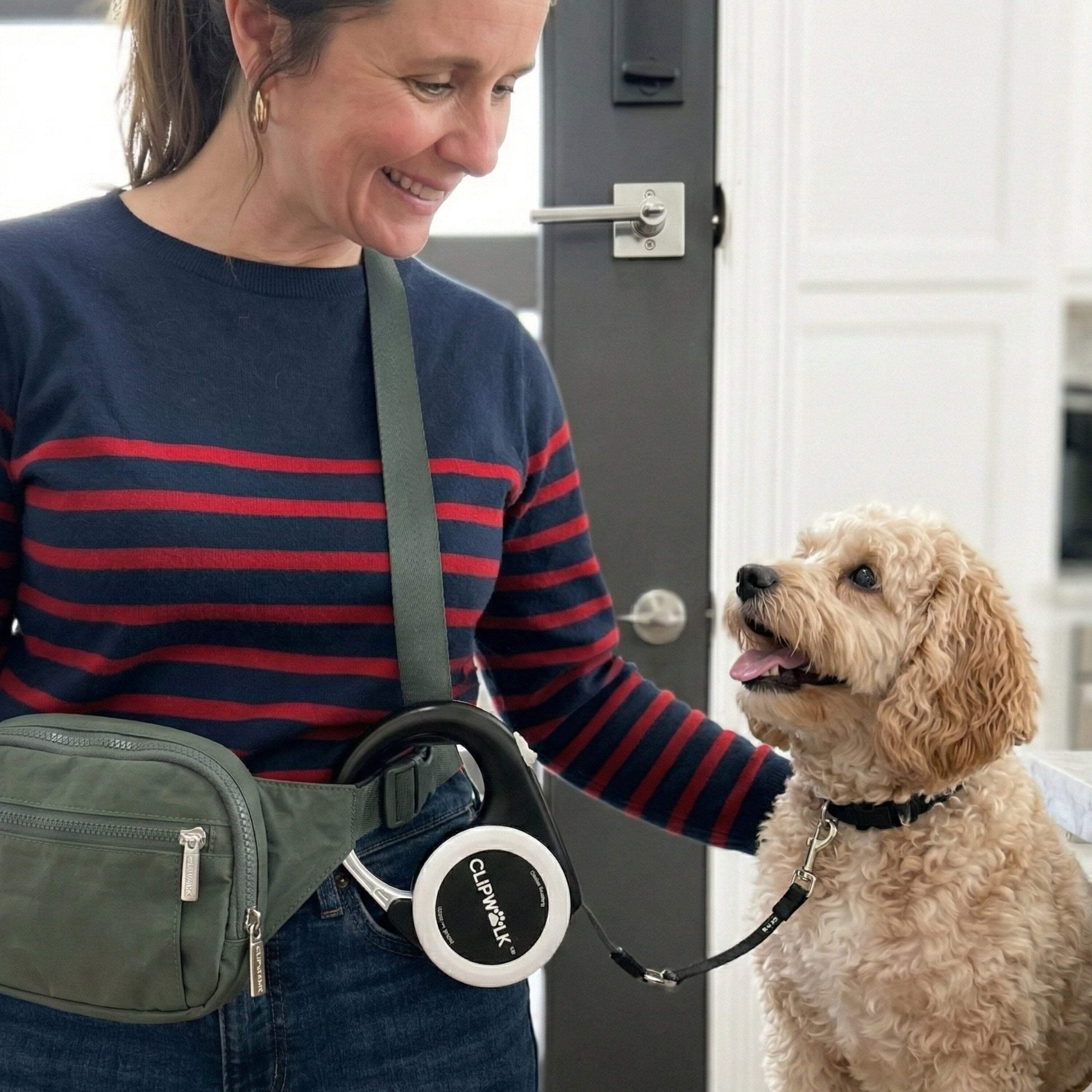 ClipWalk™ – Carabiner-Handle Retractable Hands-Free Dog Leash