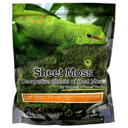 Galapagos Sheet Moss Decorative Sheet of Real Moss Substrate