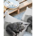 thumbnail image 3 of Outdoor Throw Pillow Cover Rhinoceros Sitting on the Toilet Waterproof Cushion Covers 2 Pack Gray Funny Animals Art Pillow Cases Home Decoration for Patio Garden Couch Sofa, 3 of 7
