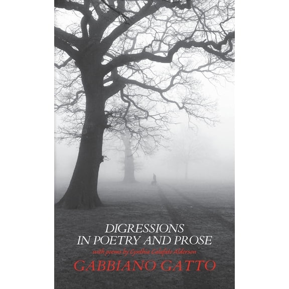 Digressions in Poetry and Prose: a collection of stories and verse written from multiple perspectives, (Paperback)