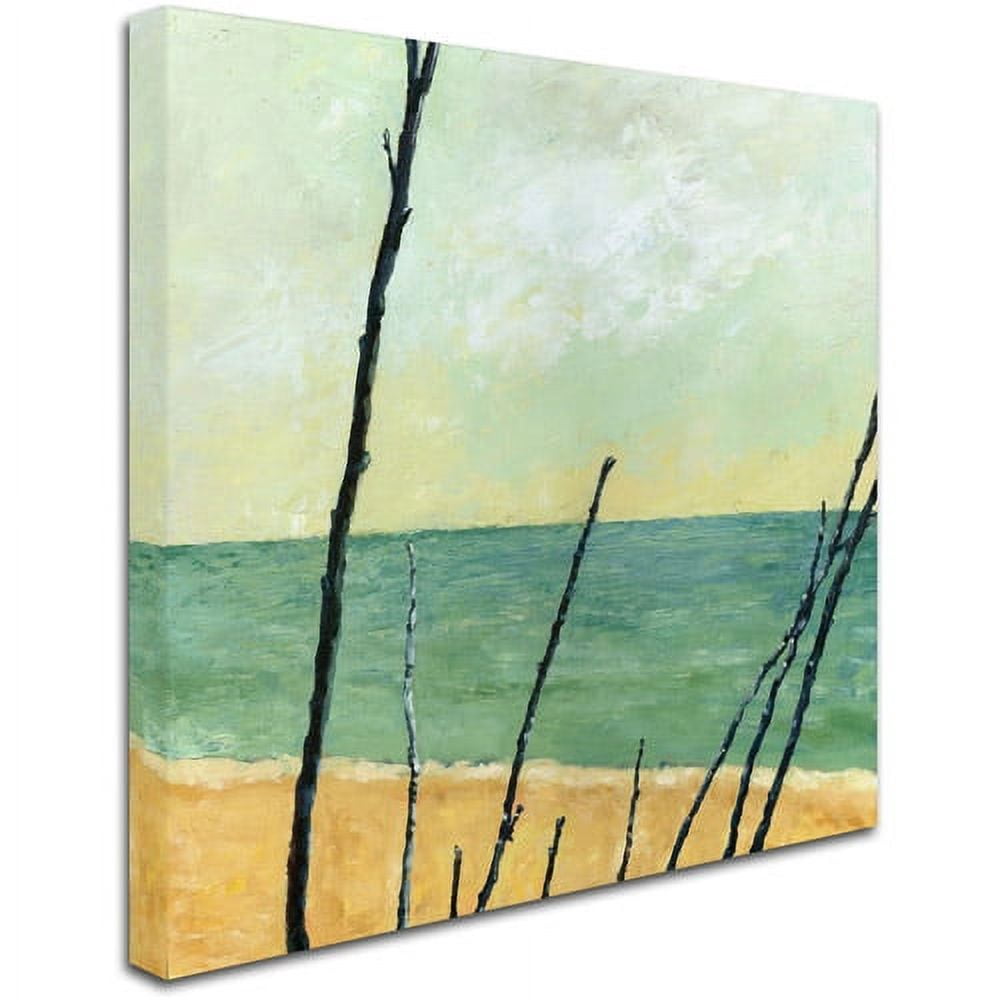 Trademark Fine Art "Branches on the Beach" Canvas Art by Michelle Calkins