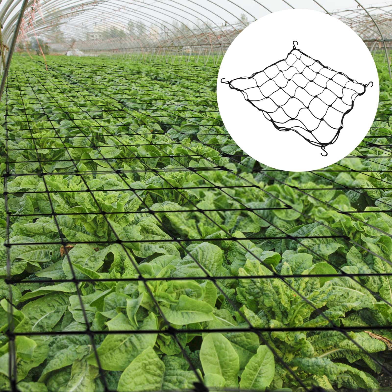 3 Ranknetze Für Grow-Zelte – Elastisch, 5,1x1,2 M, Mit Stahlhaken – Ideal Für Tomaten, Gurken, Blumen