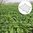 thumbnail image 4 of Harlier Scrog Net 4x4 Trellis Net for Grow Tent, Heavy Duty Elastic Trellis Net with 4PCS Hooks for Indoor Plant Growing Tents Garden Plant Net, 43.3"L x 19.6"W, 4 of 8