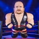 thumbnail image 4 of Bleacher Creatures Wwe Stone Cold Steve Austin 24"" Bleacher Buddy - Peluche suave, 4 of 5