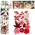 thumbnail image 6 of 1 Dried Flowers for Resin , Natural Pressed Flowers Leaves for Crafts, Candle,Jewelry Making, Embellishment, Nail, flower decor Red, 6 of 7