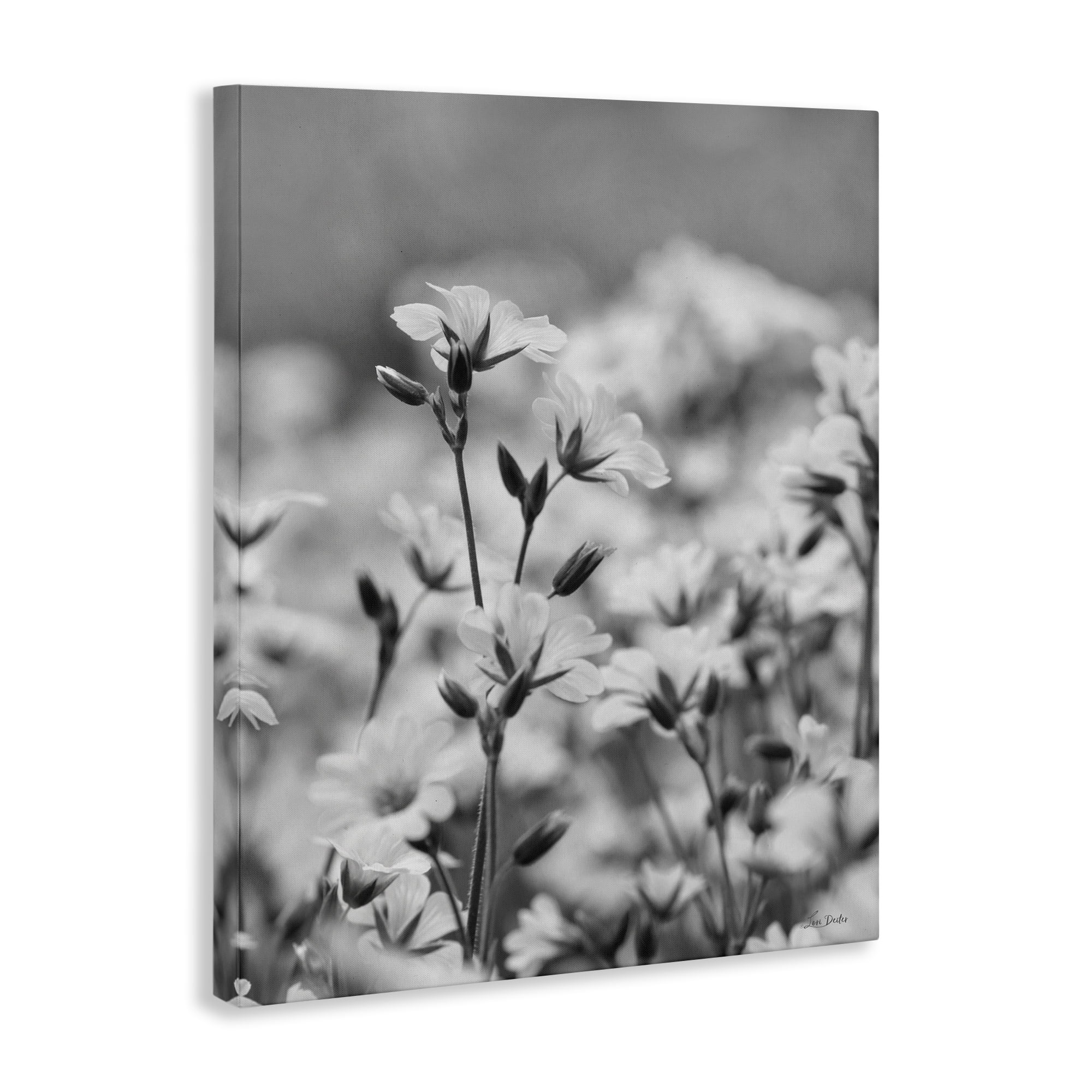 Stupell Industries Budding Meadow Flora Botanical & Floral Photography Gallery Wrapped Canvas Art Print Wall Art, 24 x 30