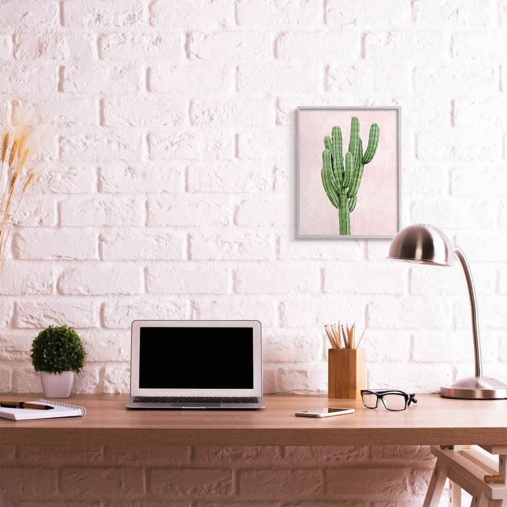 Stupell Industries Desert Cactus Plant Minimal Succulent Nature Pink Green Framed Wall Art Design by Mia Jensen, 16" x 20", Gray Framed