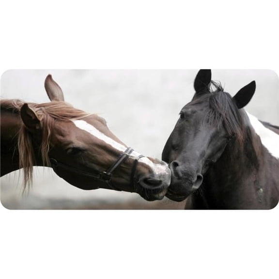 Horse Kiss Photo License Plate