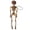 Orange, variant on Eqslft 1PC Halloween Hanging Pumpkin Skeleton Decor, 40cm Orange Pumpkin Face Skeleton Pendant with Rope, Scary Hanging Halloween Prop for Party and Haunted House Decorations