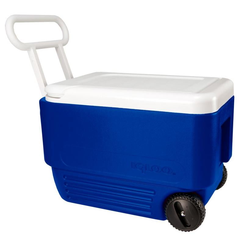 ice chest bolsa walmart