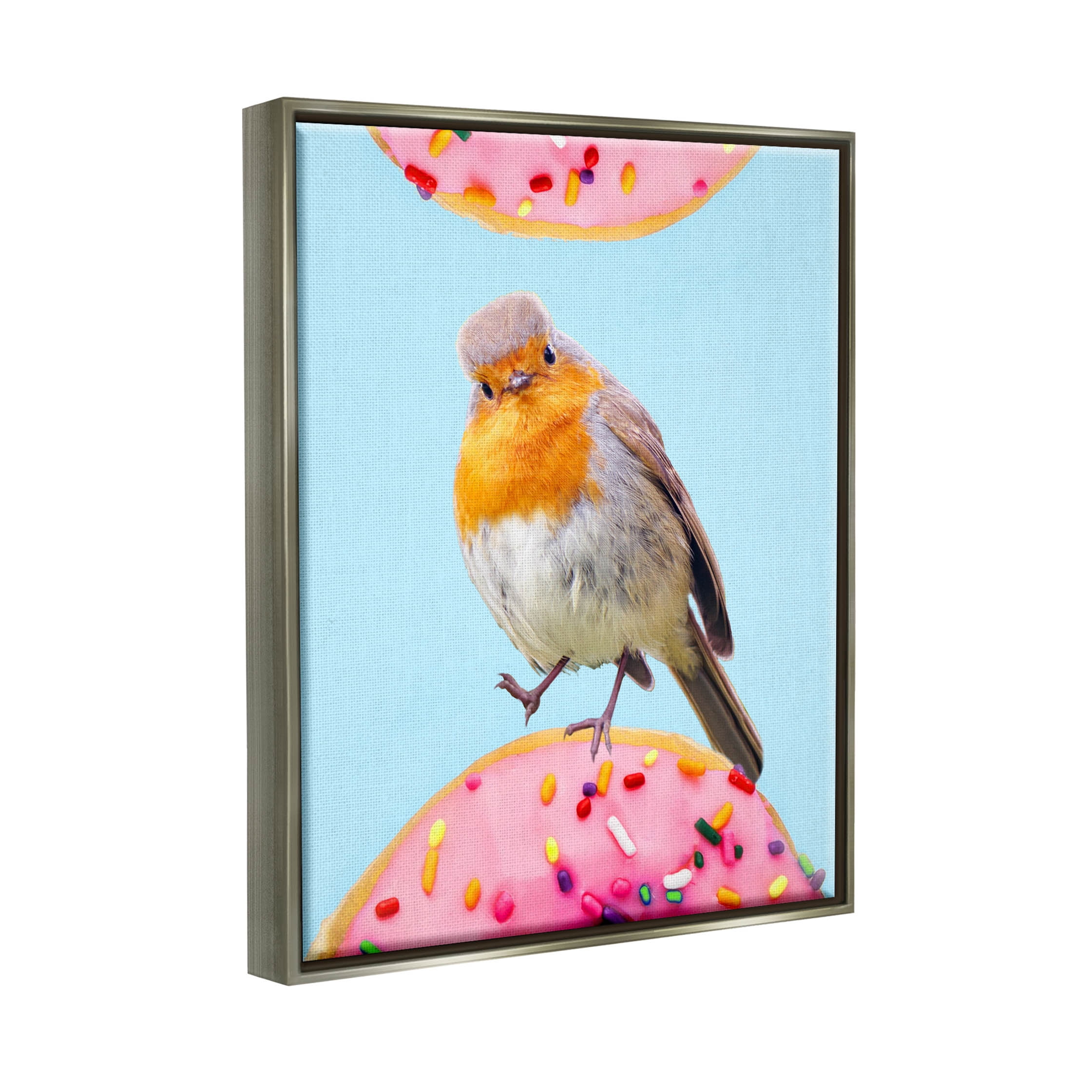 Bird Perched Sprinkled Donut Animals & Insects Graphic Art Luster Gray Framed Art Print Wall Art