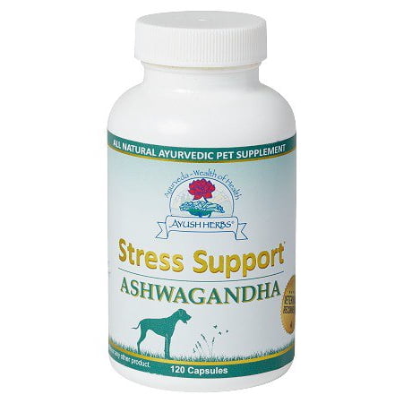 Ashwagandha Us Pharmacy