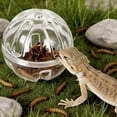 thumbnail image 1 of Interactive Parrot Foraging Toy Device for Mental Stimulation and Slow Feeding Enrichment Activity, 1 of 5