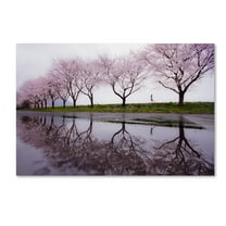 Trademark Fine Art 'Rain Of Spring' Canvas Art by Kouji Tomihisa