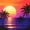 Sunset 5, variant on jejeloiu Sea Beach Sunset Twin Sheets For Girls,Coastal Palm Seashell Bedding,Golden Yellow,3-Piece,1 Fitted Sheet and 1 Pillowcase