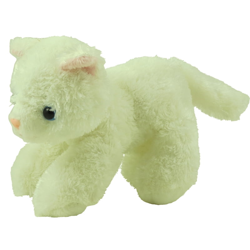 white cat teddy