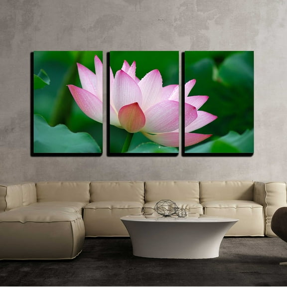 wall26 - 3 Piece Canvas Wall Art - Close-Up of Beatiful Pink Lotus - Modern Home Art Stretched and Framed Ready to Hang - 16"x24"x3 Panels