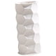 thumbnail image 1 of Jarrón decorativo de flores secas, florero de porcelana simple para el hogar. Estilo C, 1 of 9