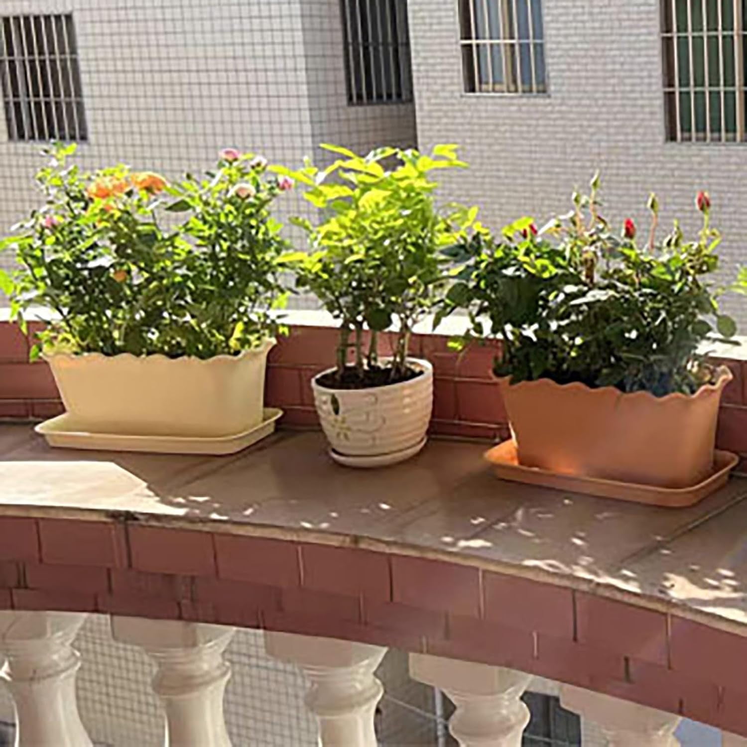 Window Box Planter 12 Inch Long Flower Pots for Spring Flowers Vegetables Herbs Plastic Window Planter Box Windowsill Plant Pot Indoor Outdoor Garden Balcony Porch Kitchen Home Decor(B)