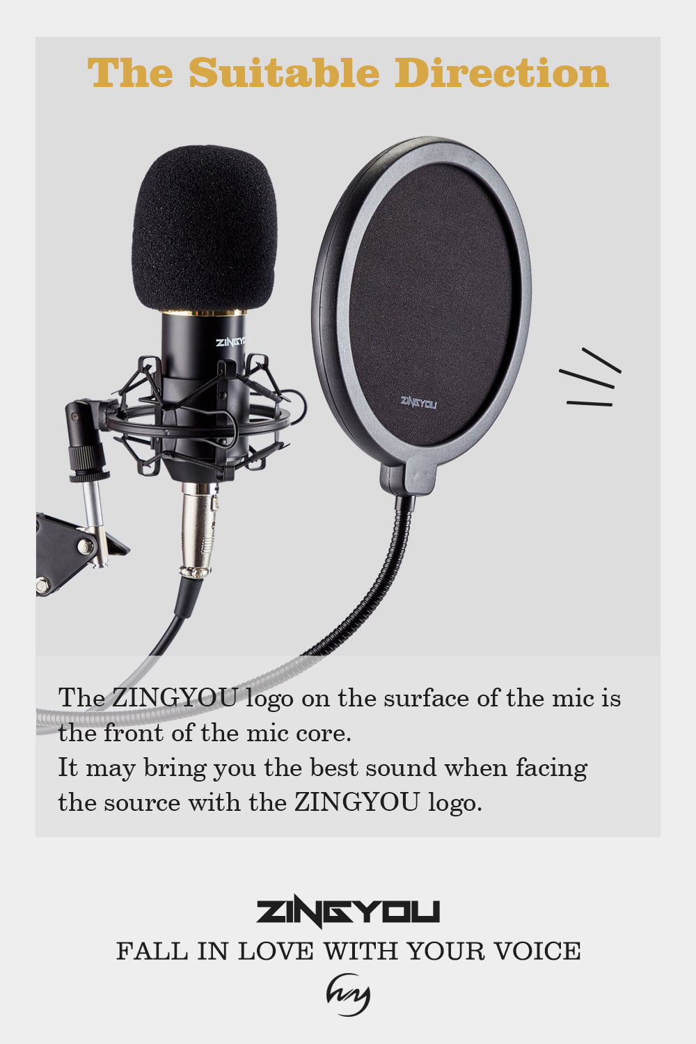 ZINGYOU Microphone à Condensateur, ZY-007 Micro à Condensateur de