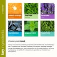 thumbnail image 4 of Set de aceites esenciales Artnaturals, 6 botellas de 10 ml para aromaterapia, 4 of 7