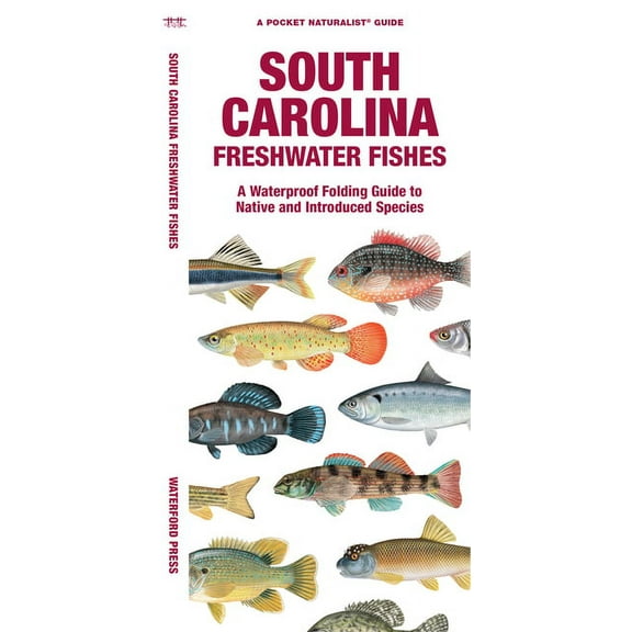 South Carolina Freshwater Fishes : A Waterproof Folding Guide to Native and Introduced Species (Paperback)