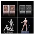 thumbnail image 2 of Kun Body Chan PVC figura de acción arquetipo He She ferrita cuerpo móvil modelo femenino muñeca coleccionableC Con caja zhangmengya unisex, 2 of 2
