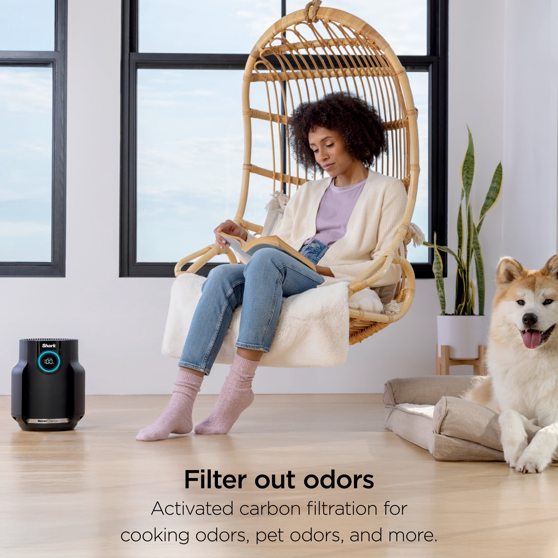 Shark NeverChange Compact Pro 250 Sq Ft HEPA Air Purifier, 5-Year HEPA-Exceeding Filter, Captures Pollutants, Pet Dander, Dust, and Smoke, HP070 Black