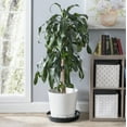 thumbnail image 5 of Austin Planter 18 inch(16.3 inch Base) Plant Saucer 5 Pack Black Colored Polypropylene Made in USA, 5 of 7