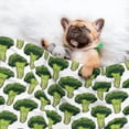 thumbnail image 3 of Naloa Cute Broccoli Dog Blanket, 3 Sizes Cat Blanket for Indoor Cats Large Medium Small Dog Gifts-Large, 3 of 8