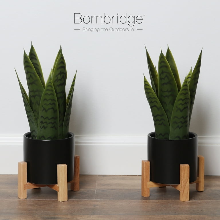 Bornbridge Artificial Snake Plant in Mid Century Plant Stand (Small / 2 Pack)