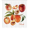 thumbnail image 3 of Ambesonne Peach Shower Curtain, Delicious Nectarines, 69"Wx75"L, Orange Green and Red, 3 of 3