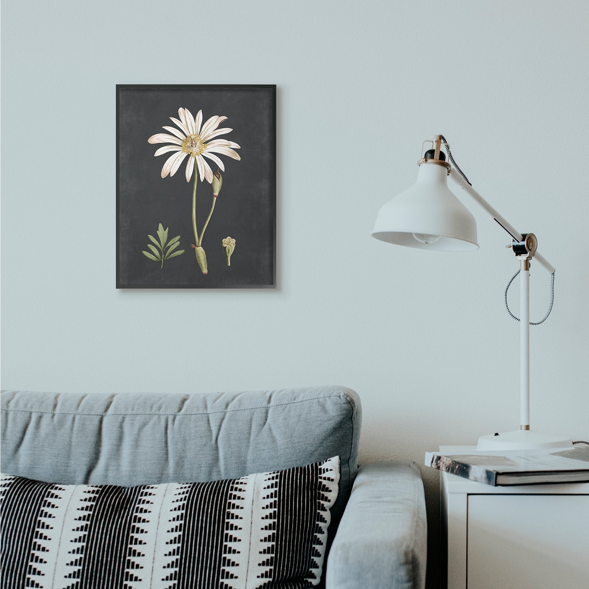 Stupell Industries Botanical Drawing White Flower On Black Design Framed Wall Art by Lettered and Lined