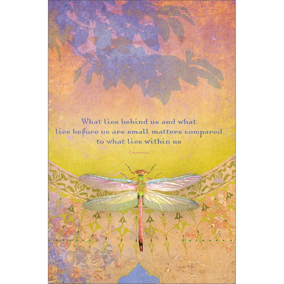 Tree-Free Greetings EcoNotes 12-Pack Blank Note Cards with Envelopes, 4" x 6", What Lies Behind Us, Inspiration Themed, Boxed Set of 12 (FS66558)