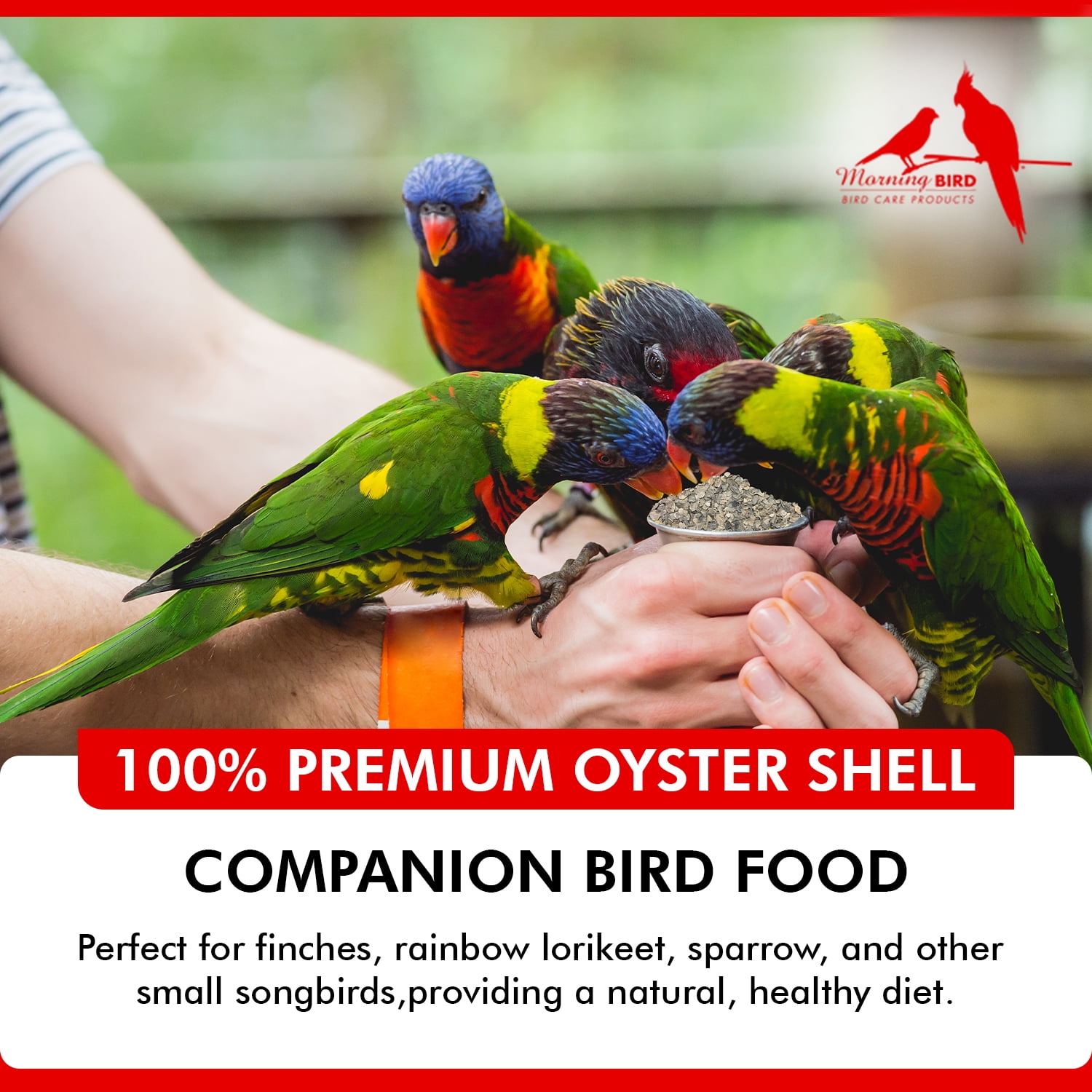 Morning Bird Oyster Shell for Birds 18 lbs (2-Pack, 9 lbs Each) - Natural Calcium Supplement – Sustainably Harvested From California Coast - Safe Year-Round Bird Food Additive